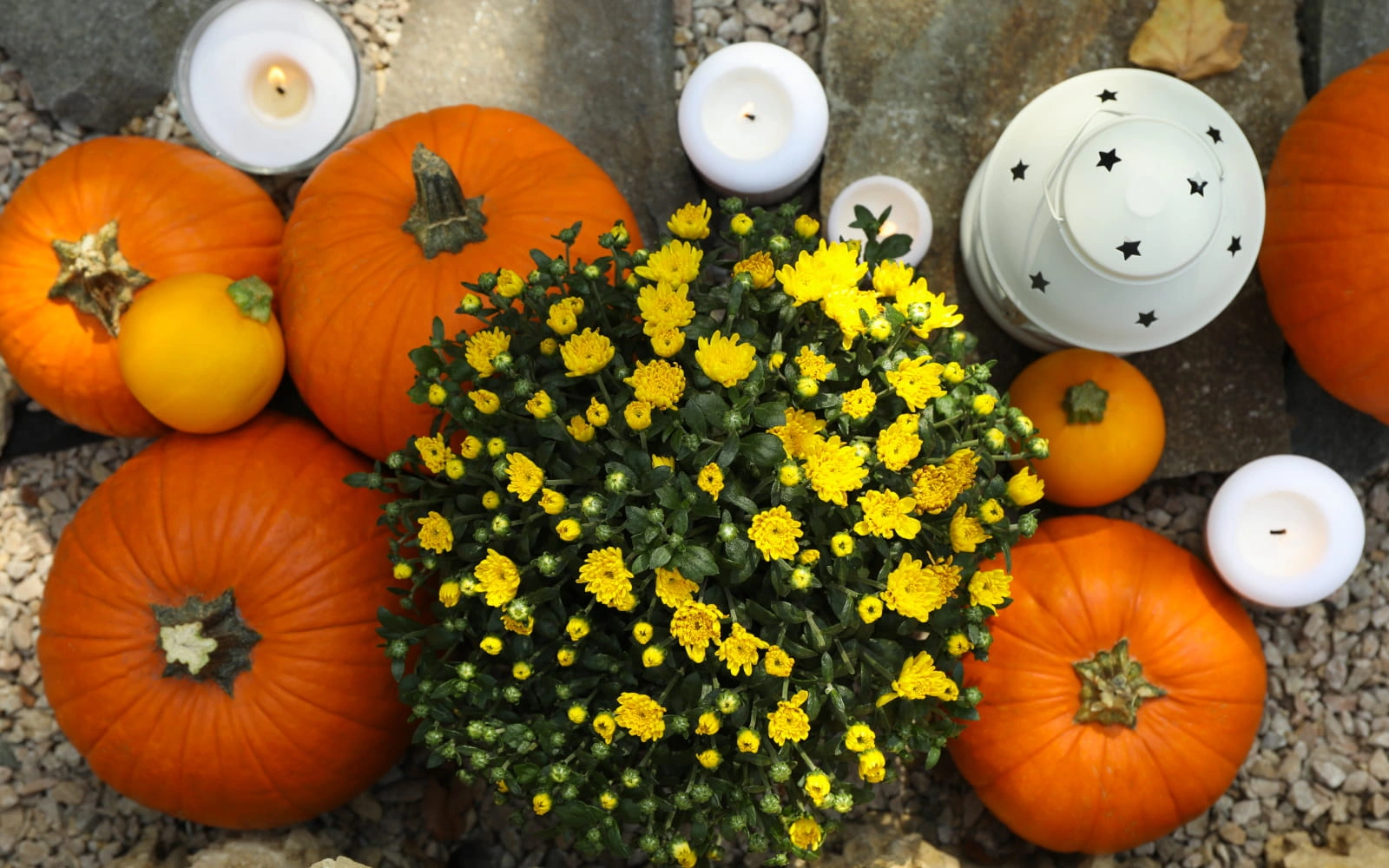 Cadılar Bayramı Çiçek Süslemeleri