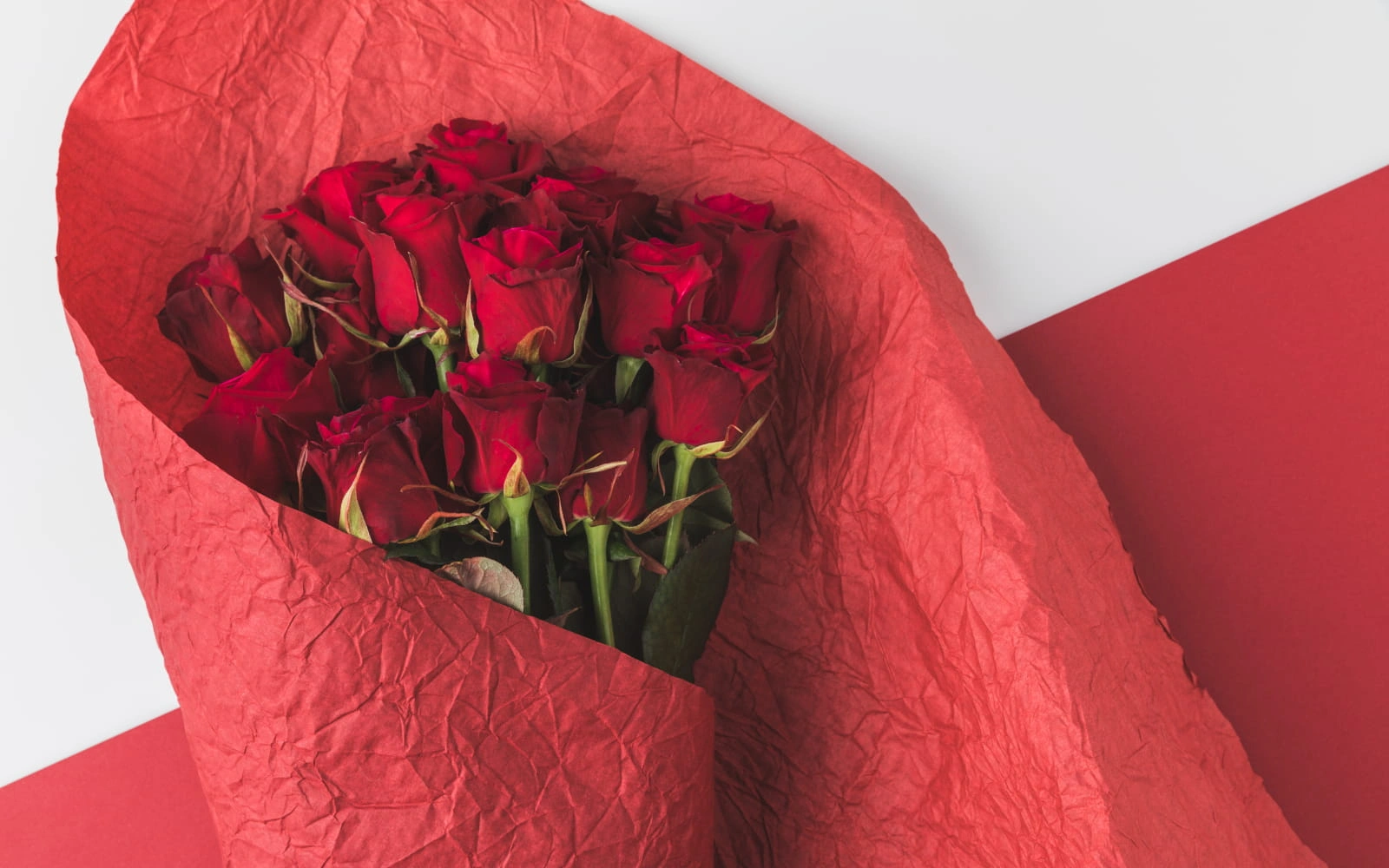 Sevgililer Günü Çiçekleri